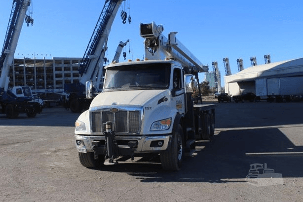 Crane