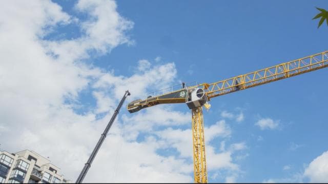 Crane