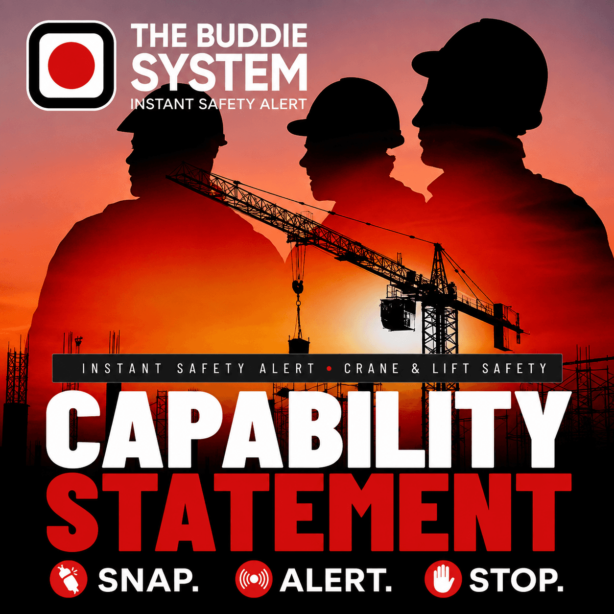 The Buddie System® Capability Statement